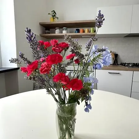 La Casa Dei Grilli *