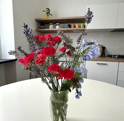 La Casa Dei Grilli *